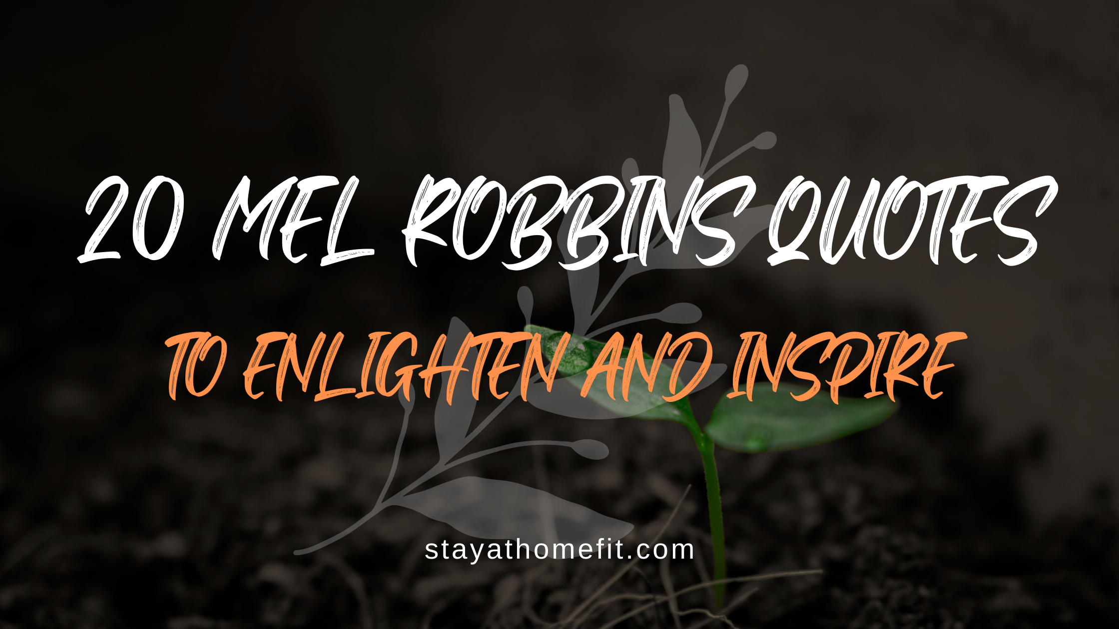 Blog Title: 20 Mel Robbins Quotes to Enlighten and Inspire