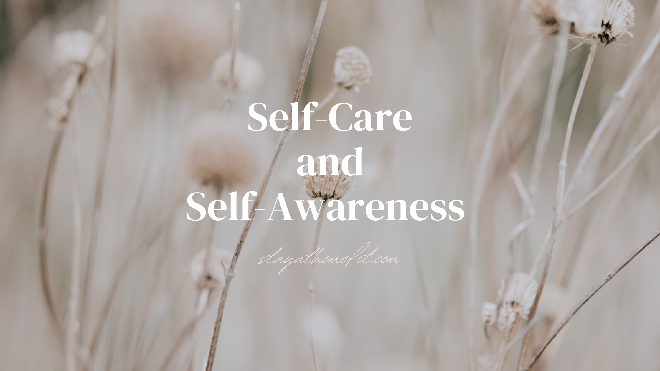 Blog Title: Self-Care and Self-Awareness